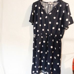 Women’s LOFT polka dot dress -Large